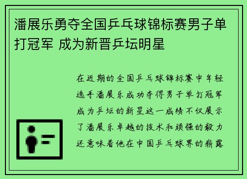 潘展乐勇夺全国乒乓球锦标赛男子单打冠军 成为新晋乒坛明星
